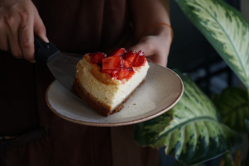 Freshly baked New York style cheesecake slice